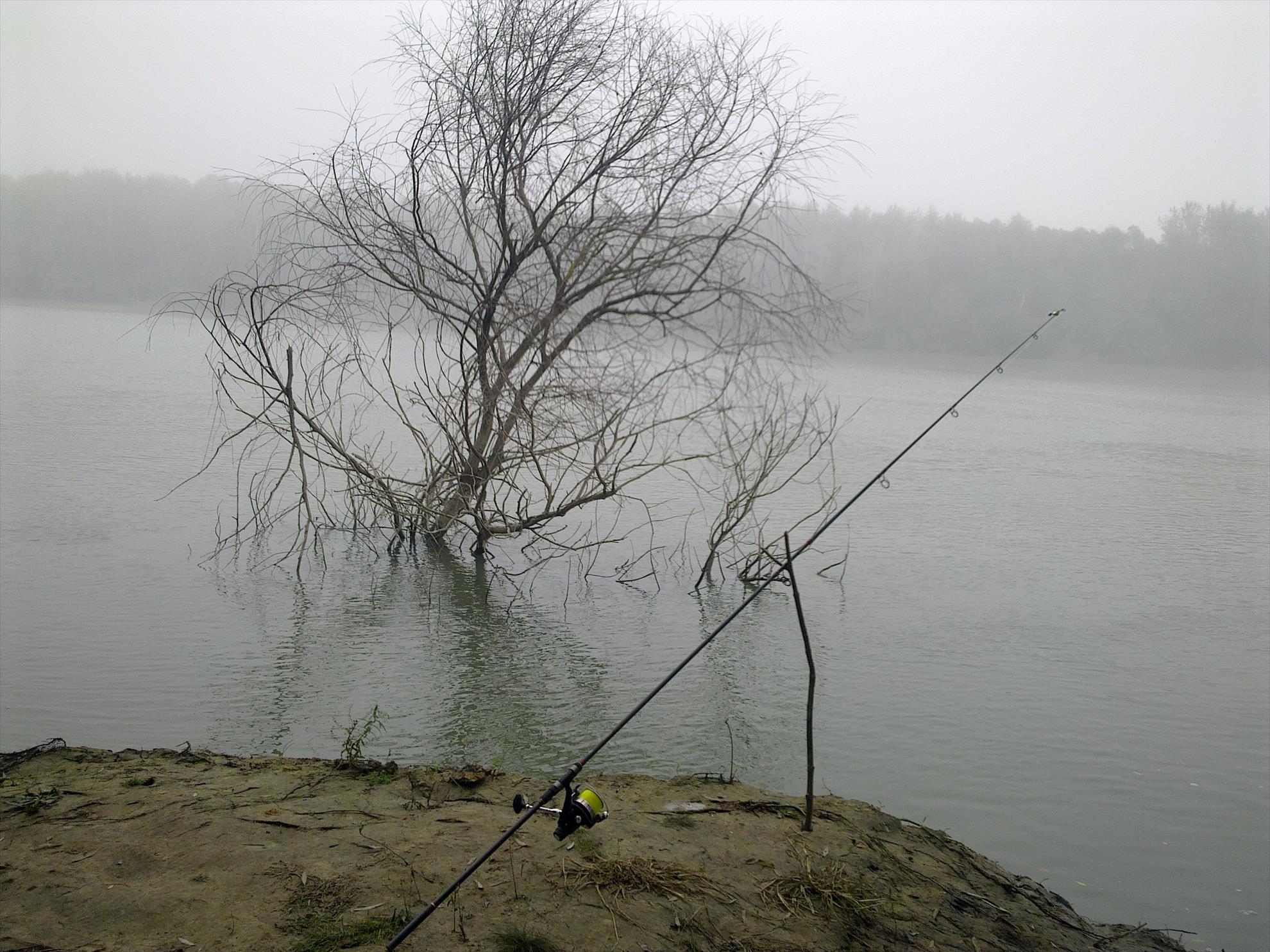 RAPITOR - 21102011540.jpg